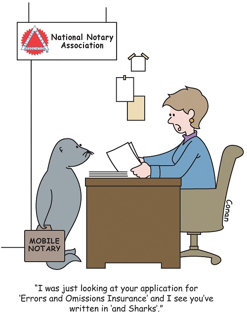 Shark Week Thursday Insurance Resized